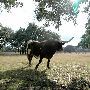 Enchanted Springs Ranch