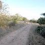 McKinney Roughs Nature Park