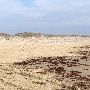 Boca Chica Beach & Dunes