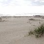 Boca Chica Beach & Dunes