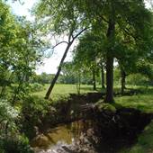 Harry Moss Park