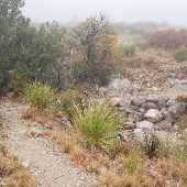 Guadalupe Mountains National Park - Smith Springs Trail