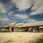 Davis Feed Mill