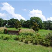 Reagan Park