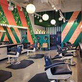 Birds Barbershop - Domain