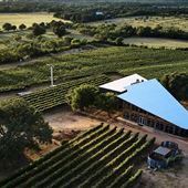 William Chris Vineyards