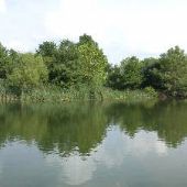 San Antonio Botanical Garden - Lake