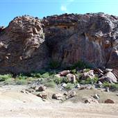 Horseback Riding Trails