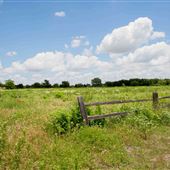 Blackland Prairie Park