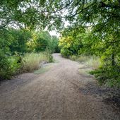 Johnny Broyles Trail