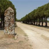 Albany Cemetery