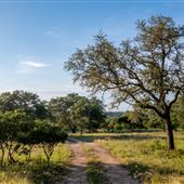 Chick Ranch