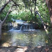 Hamilton Greenbelt Park