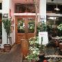 Güero's Restaurant