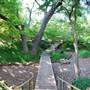 Fort Worth Botanic Garden - Japanese Garden