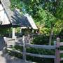 Fort Worth Botanic Garden - Japanese Garden