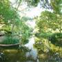 Fort Worth Botanic Garden - Japanese Garden