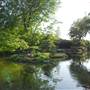 Fort Worth Botanic Garden - Japanese Garden