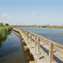 Carl Park - Tres Palacios River