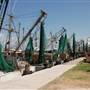 Port of Palacios