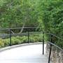 Japanese Tea Garden at Brackenridge Park