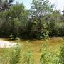 Pease District Park