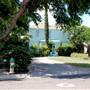 Palm Boulevard Neighborhood