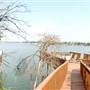 Blue Heron Bed and Breakfast