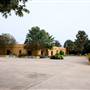 Fiesta Gardens