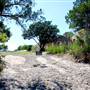 Silver Spur Dance Hall Ruins