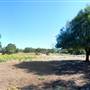 Flying L Guest Ranch