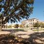 Texas A&M University