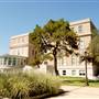 Texas A&M University