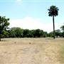 San Pedro Springs Park