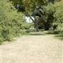 San Pedro Springs Park