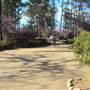 Japanese Garden in Hermann Park