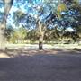 Japanese Garden in Hermann Park