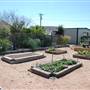 Victoria Educational Gardens