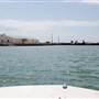 Matagorda Island