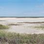 Matagorda Island