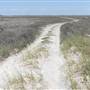 Matagorda Island