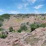 The Sandy Ranch