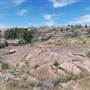 The Sandy Ranch