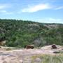 The Sandy Ranch