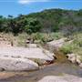The Sandy Ranch