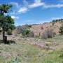 The Sandy Ranch
