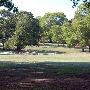 Jester Park