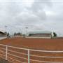 Buck Jackson Arena