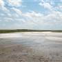 Muleshoe National Wildlife Refuge