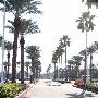 Moody Gardens